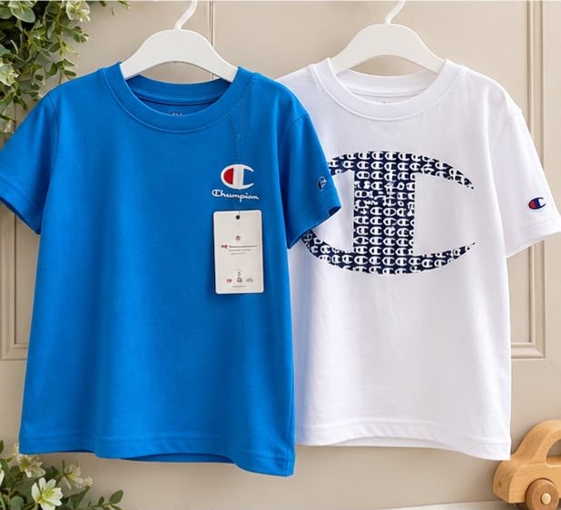 Champion 4t
